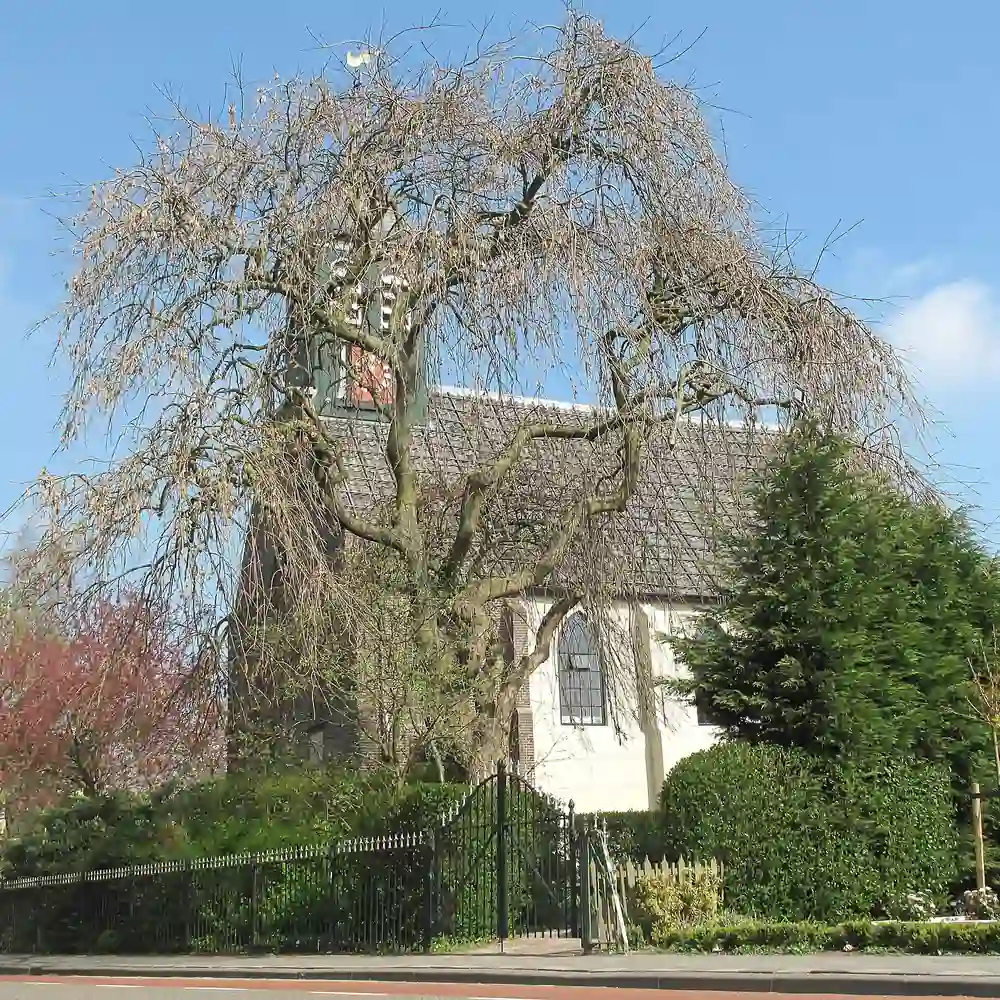 De kerk van Avenhorn: rijscholen in Avenhorn vergelijken