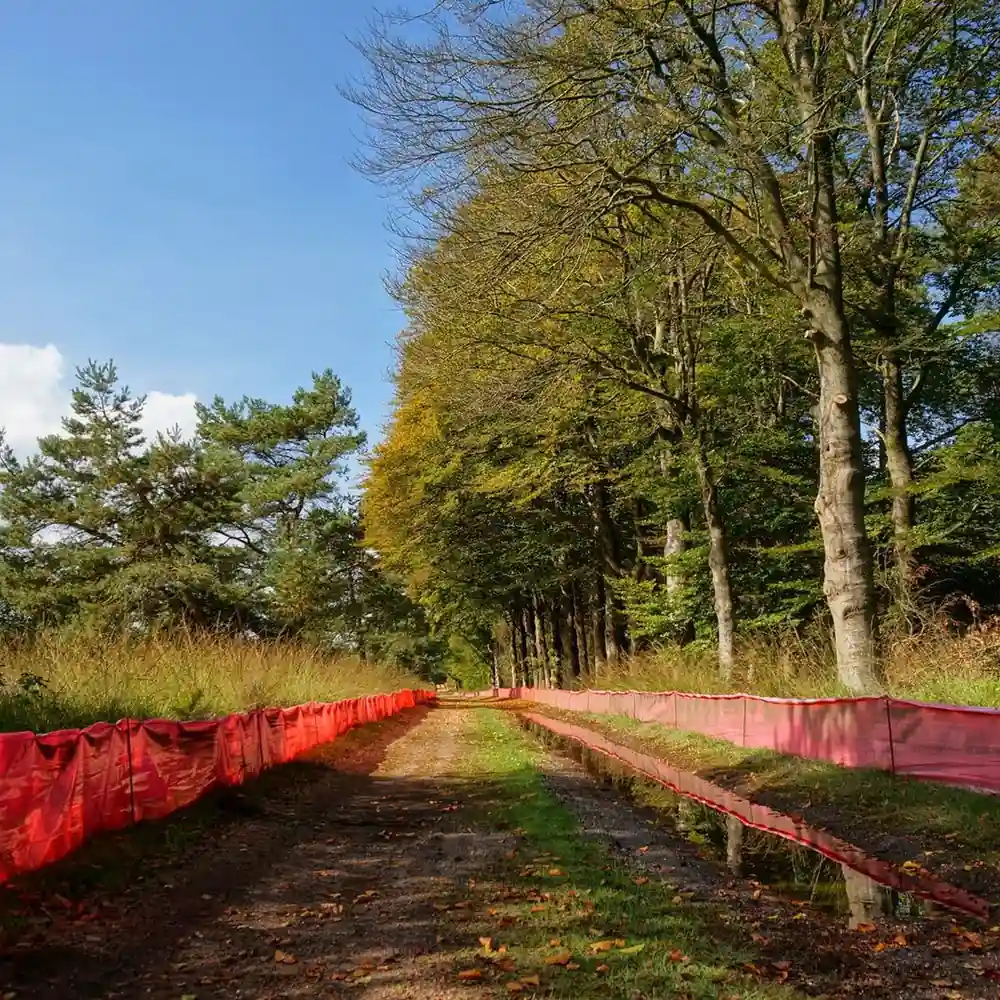 Bospad met beuken in de herfst bij Bennekom, vlak bij Ede: alle rijscholen in Ede op een rij