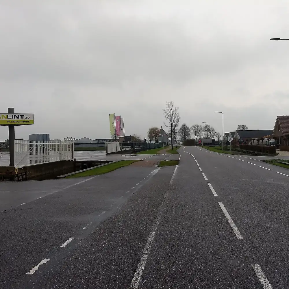 Een weg in Boskoop: rijscholen in Boskoop vergelijken
