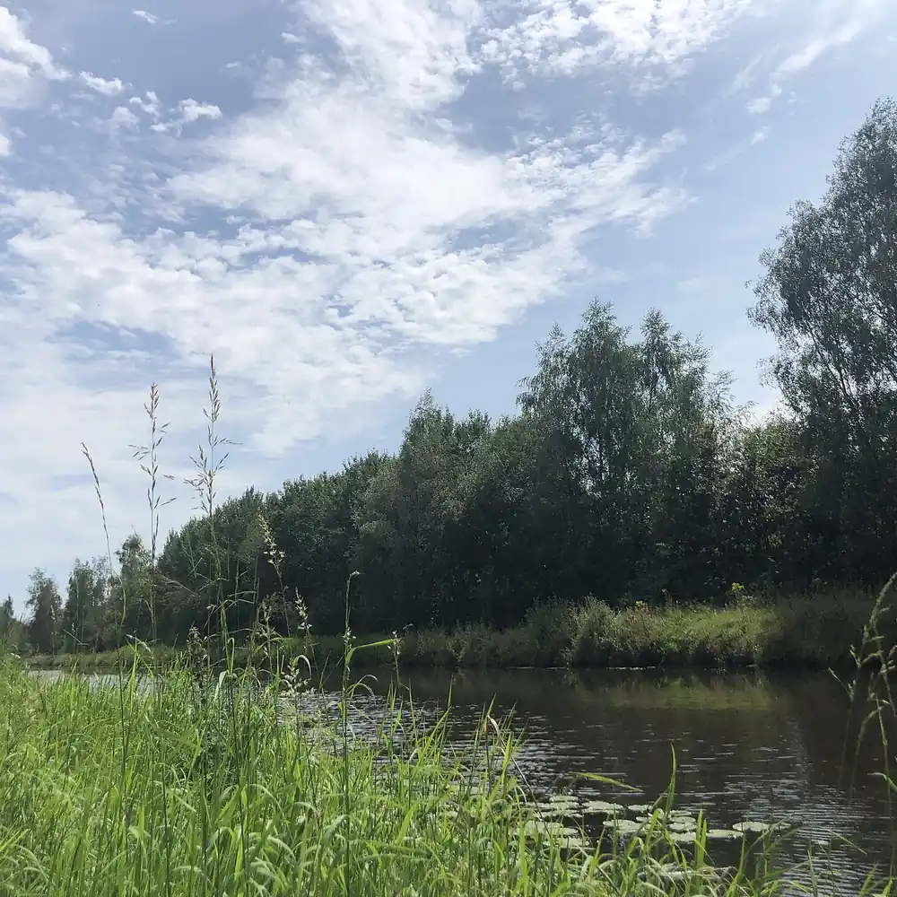 De Dommel bij Boxtel, waar je de rijscholen in Boxtel kunt vergelijken