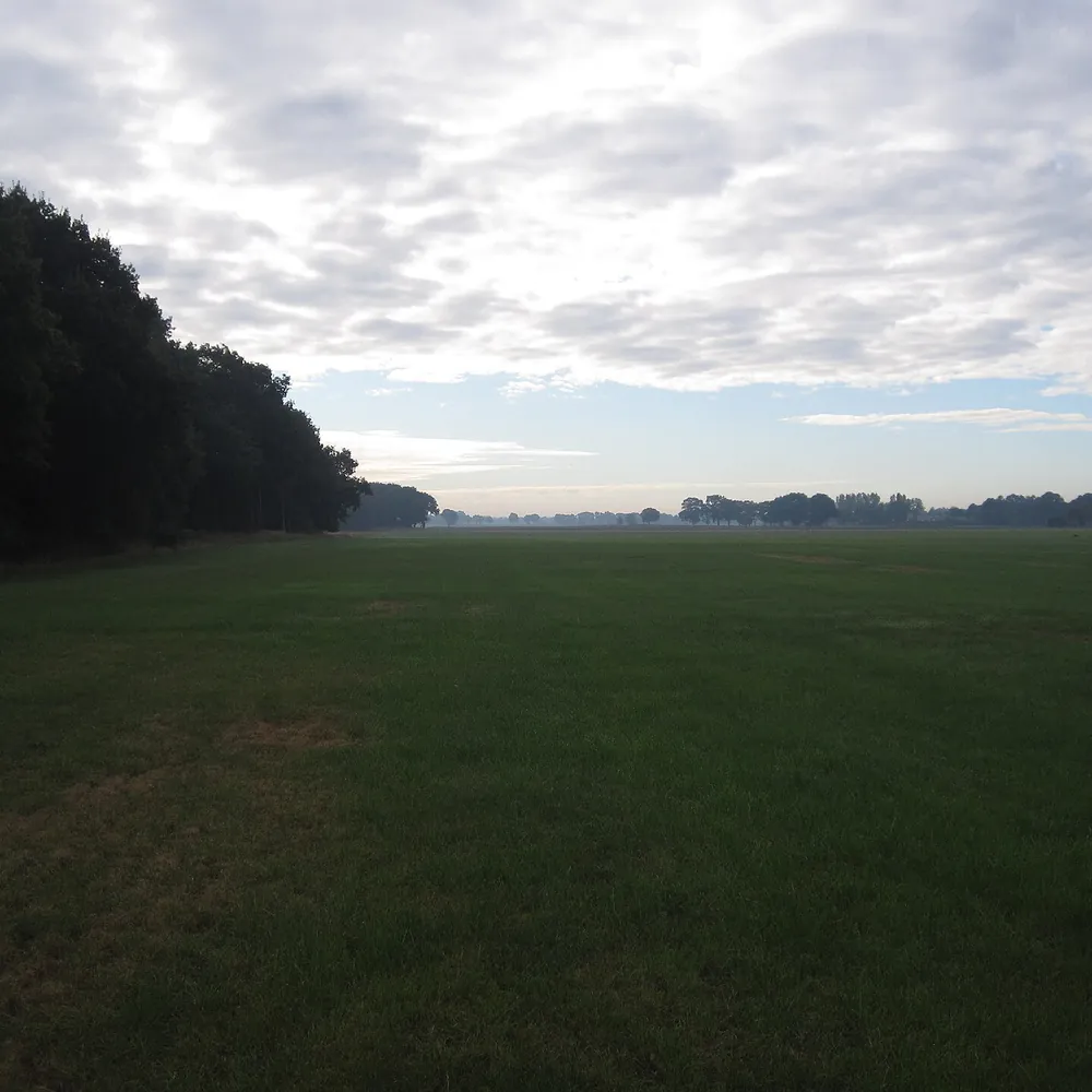 Het landschap bij Bruchterveld: vergelijk de rijscholen in Bruchterveld