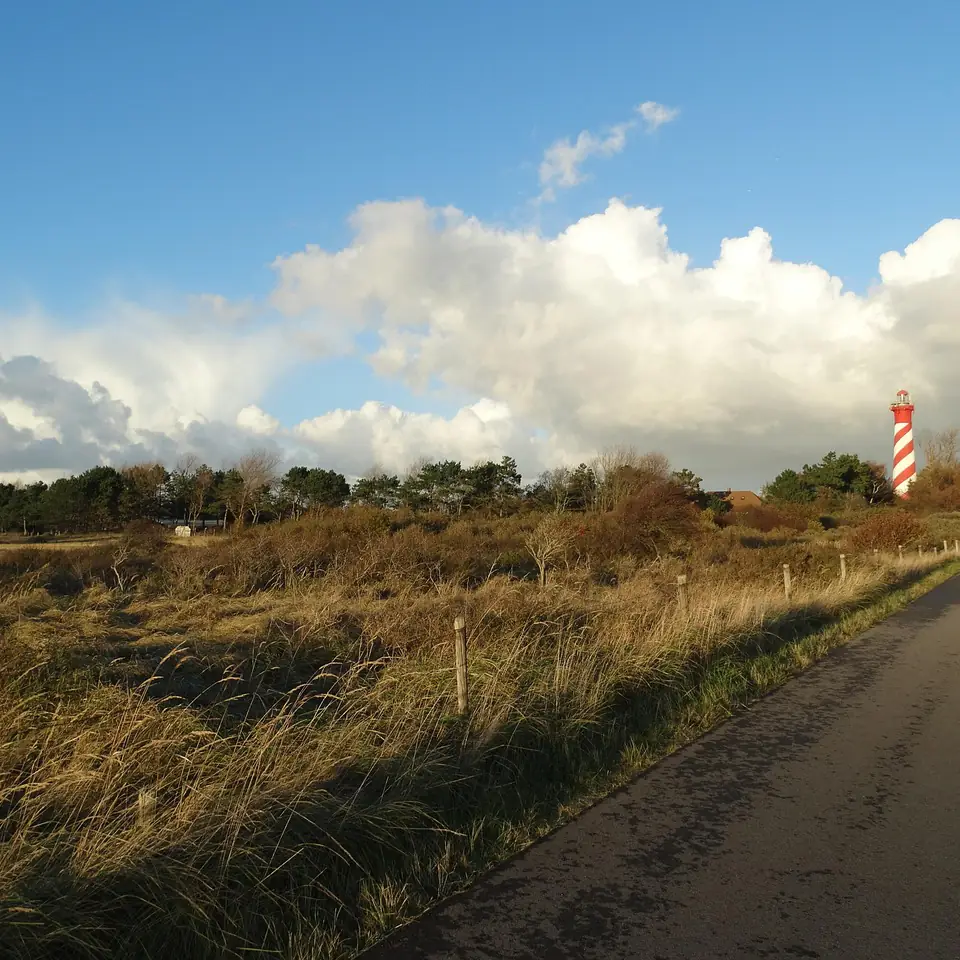 De duinen bij Burgh-Haamstede: alle rijscholen in Burgh-Haamstede op een rij