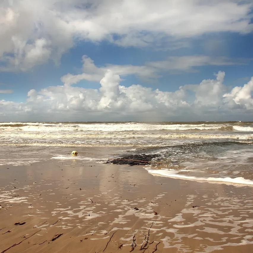 Het strand van Callantsoog, vlak bij Anna Paulowna: alle rijscholen in Anna Paulowna op een rij