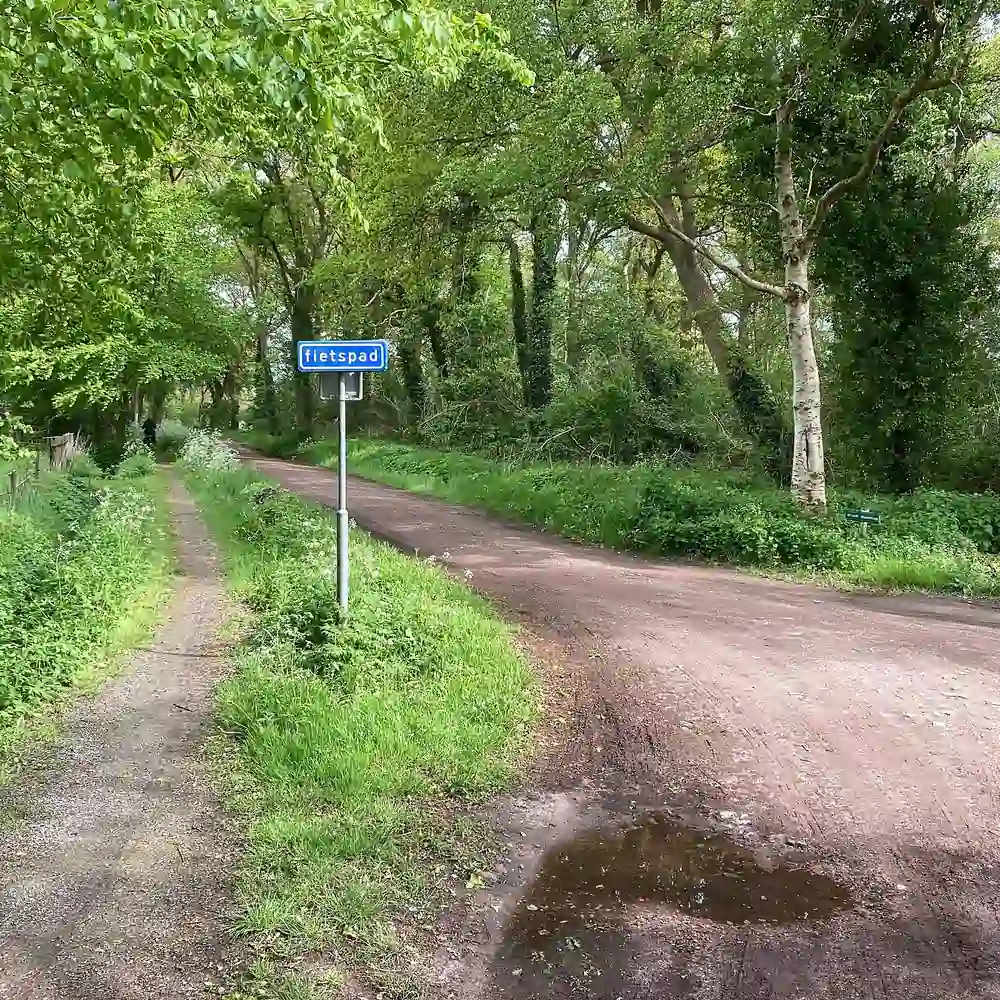 Een bospad bij Donderen, waar je de rijscholen in Donderen kunt vergelijken