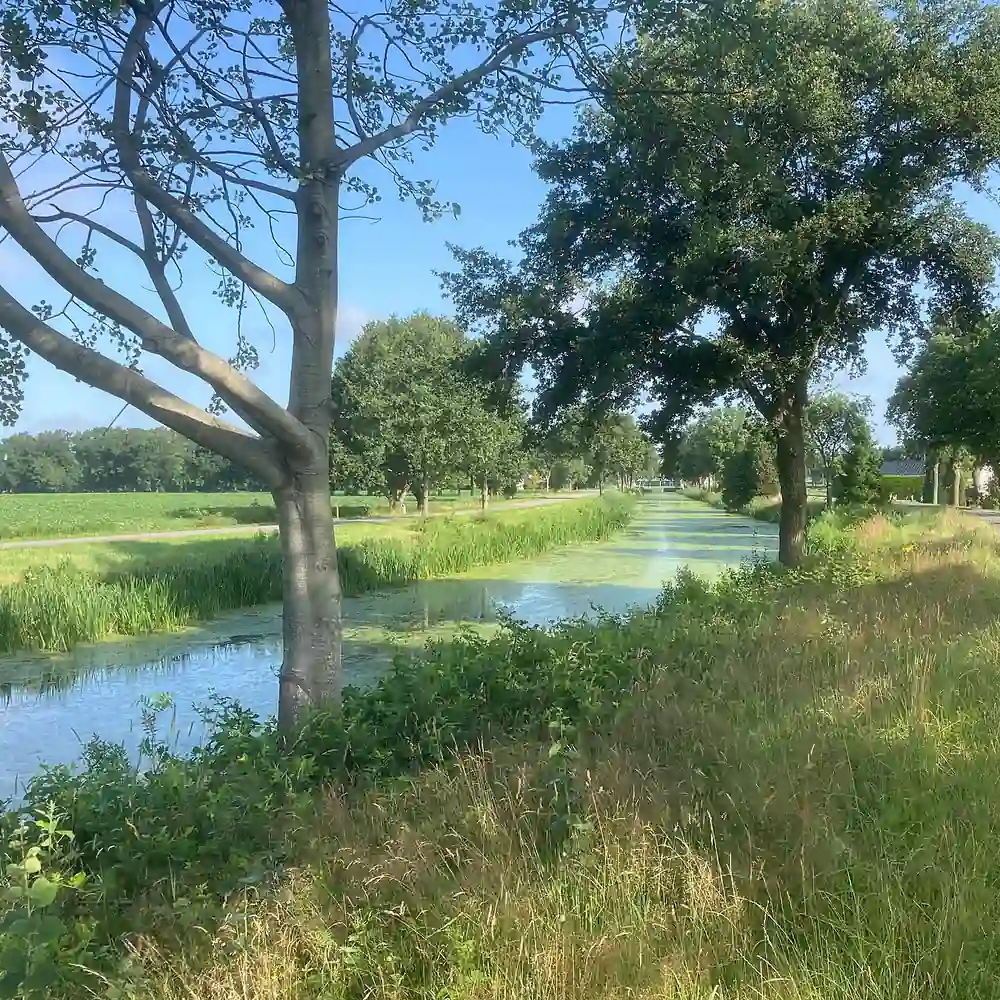 Het landschap bij Drijber: vergelijk de rijscholen in Drijber