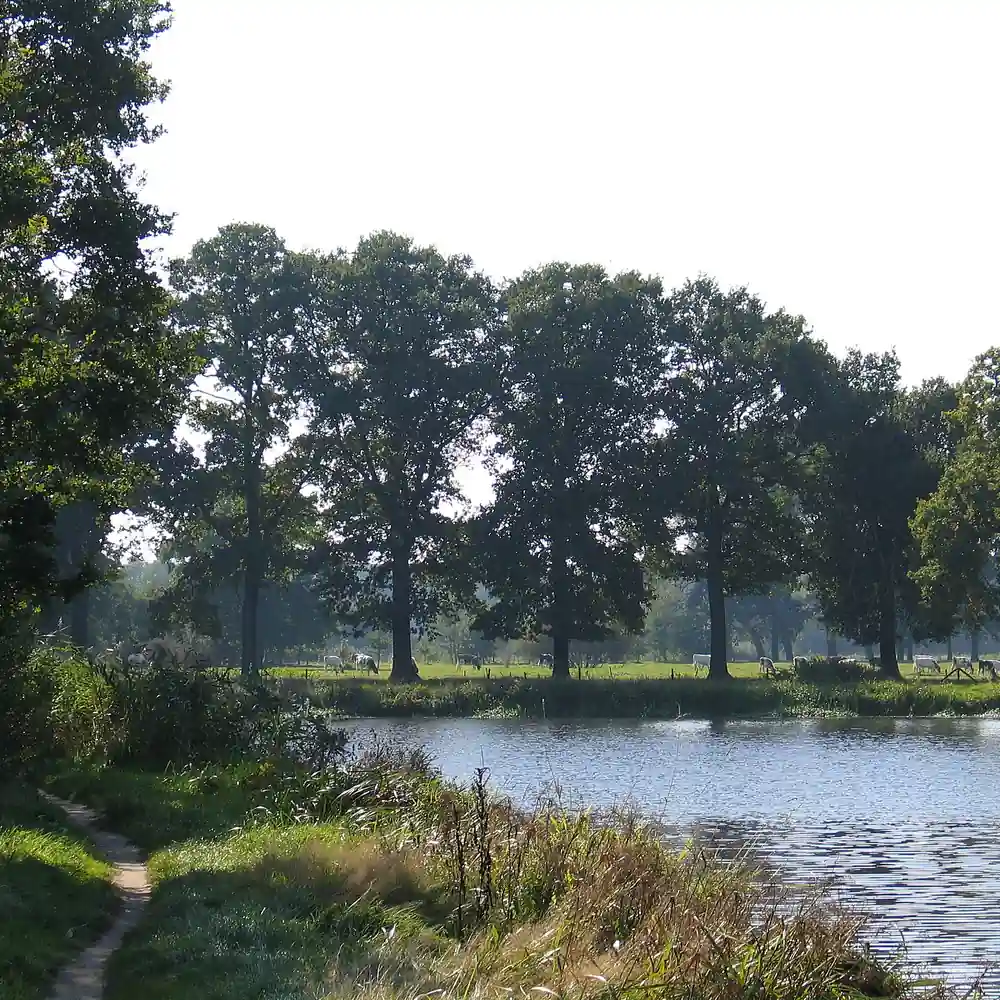 De Dommel bij Gemonde: rijscholen in Gemonde vergelijken