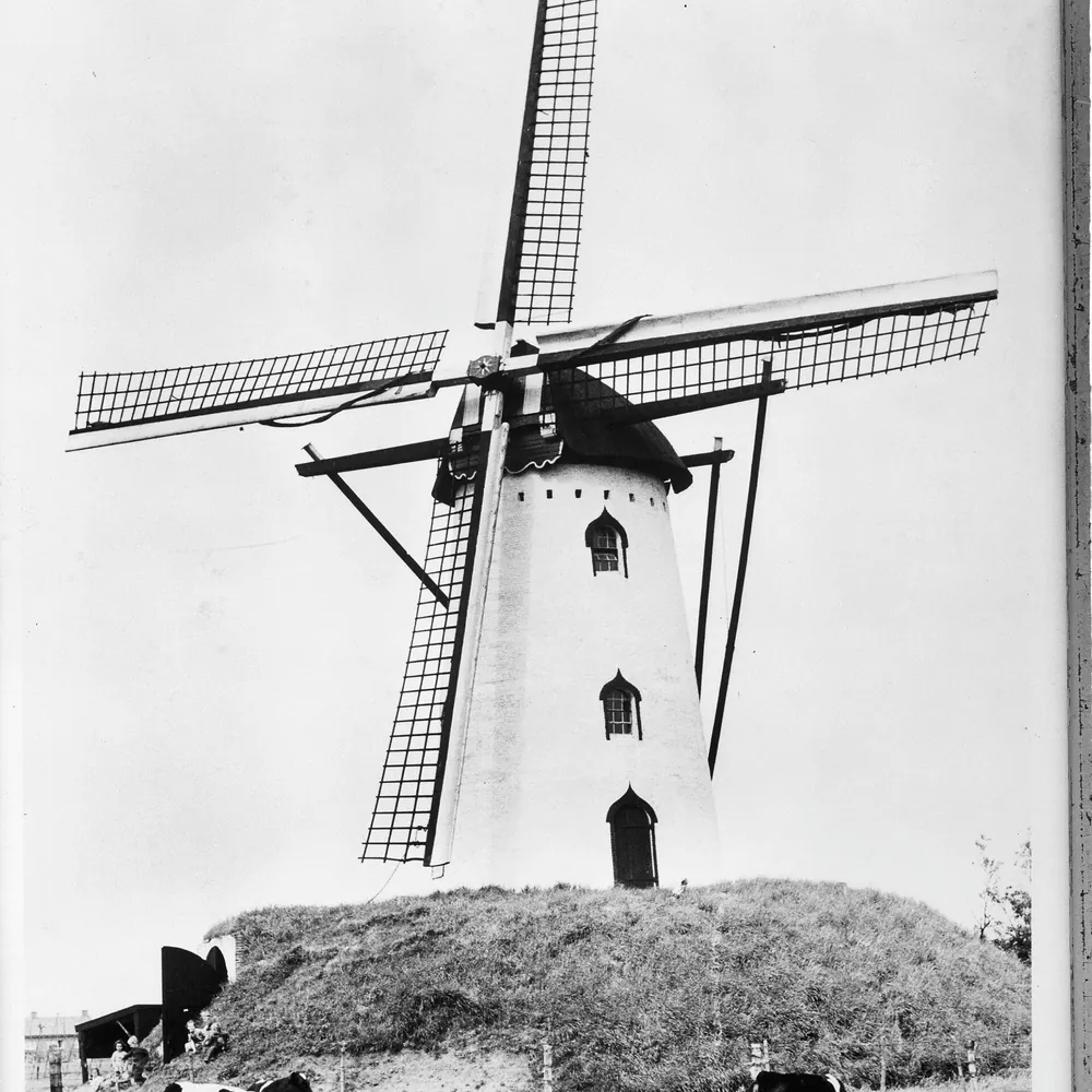 Korenmolen De Berg in Goirle, vlak bij Riel: alle rijscholen in Riel op een rij