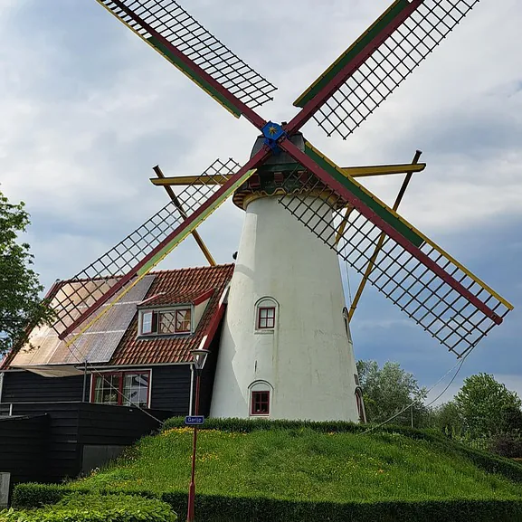 Een molen bij Grijpskerke: vergelijk de rijscholen in Grijpskerke