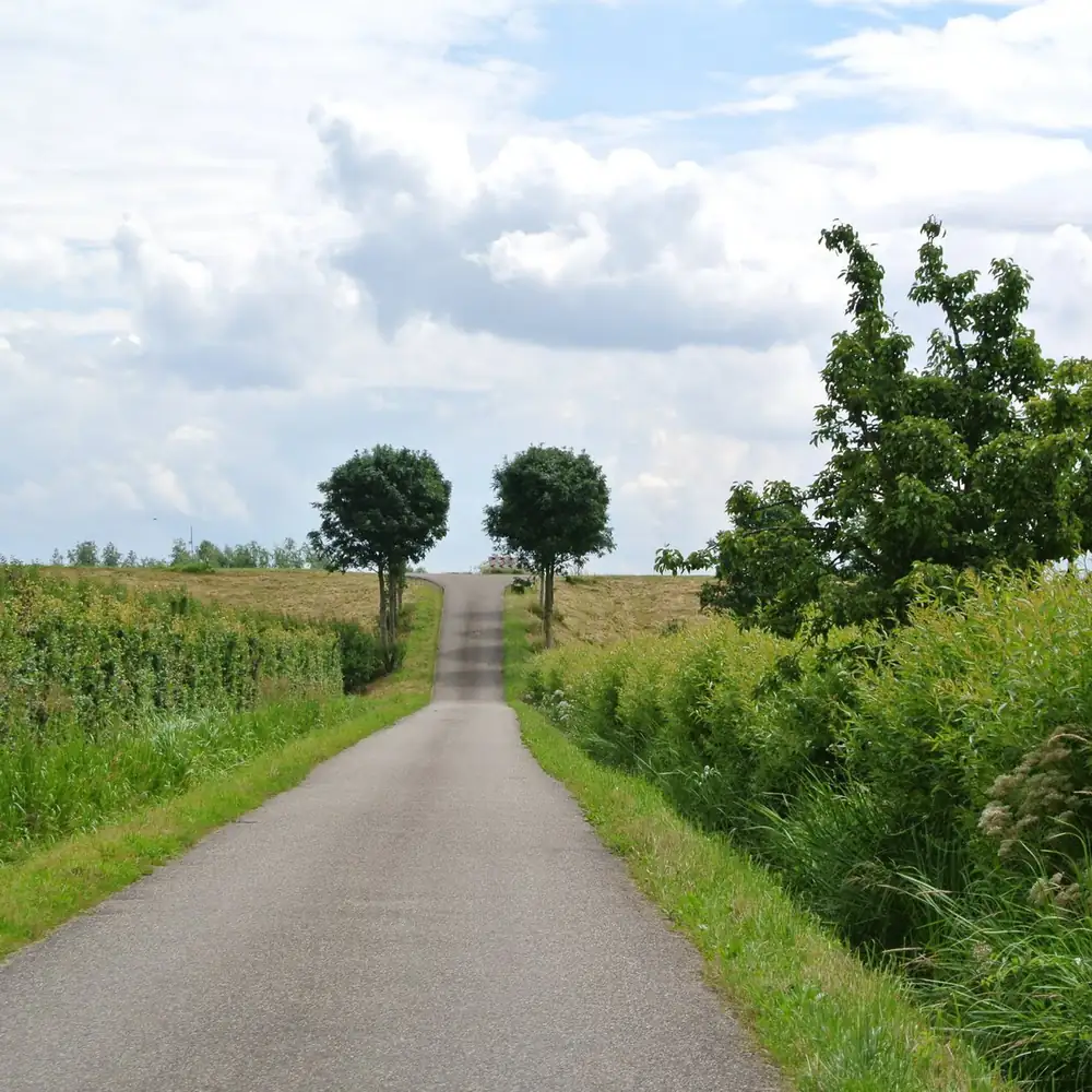 Een weg door het landschap bij Heesselt: rijscholen in Heesselt vergelijken