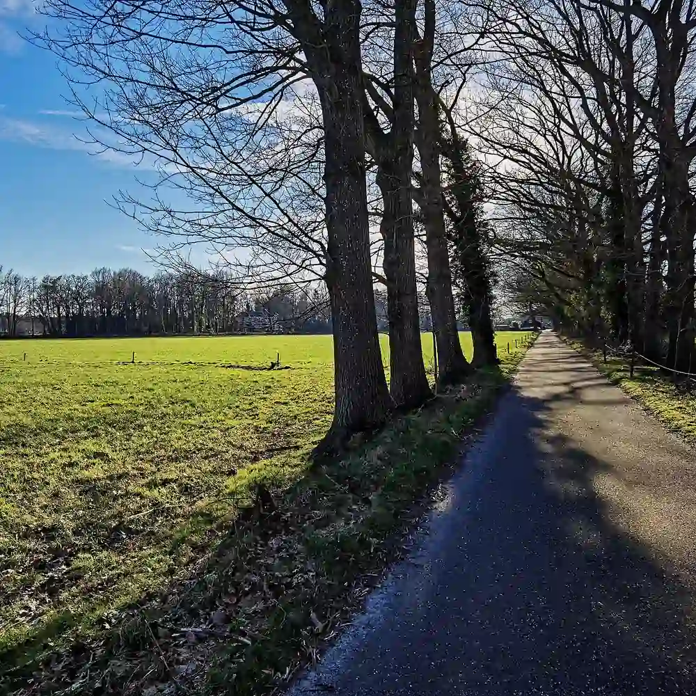 Een laan bij Kasteel de Essenburg in Hierden: rijscholen in Hierden vergelijken