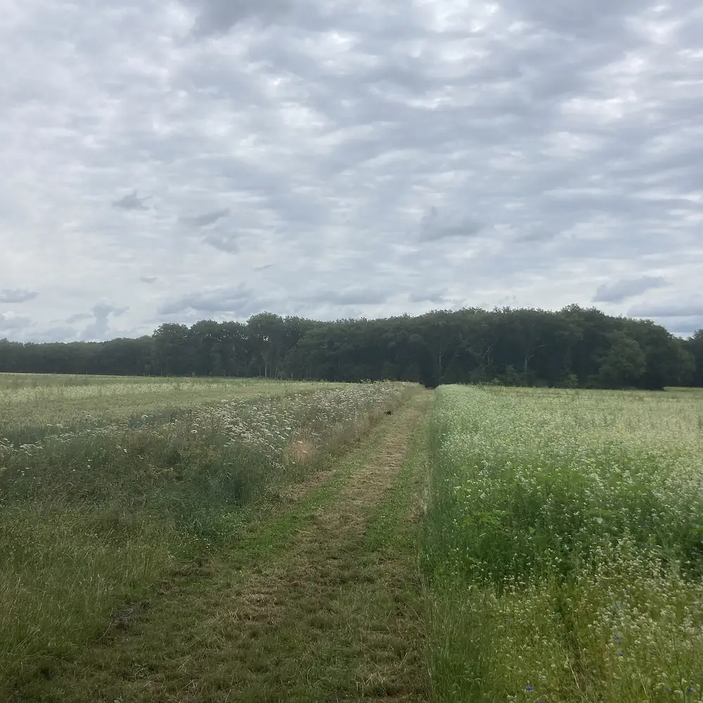 Het Holtesch Land bij Hooghalen, waar je de rijscholen in Hooghalen kunt vergelijken