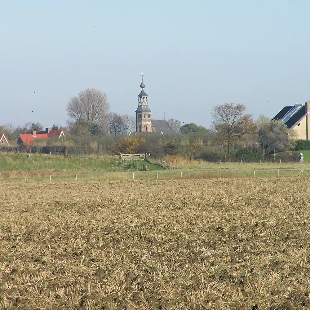 Gezicht op het dorp Kattendijke: alle rijscholen in Kattendijke op een rij