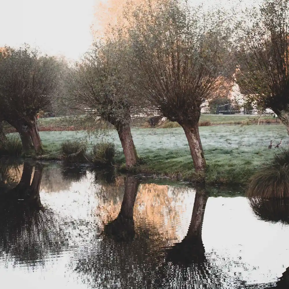 Bomen weerspiegeld in het water in Krimpen aan den IJssel: vergelijk de rijscholen in Krimpen aan den IJssel