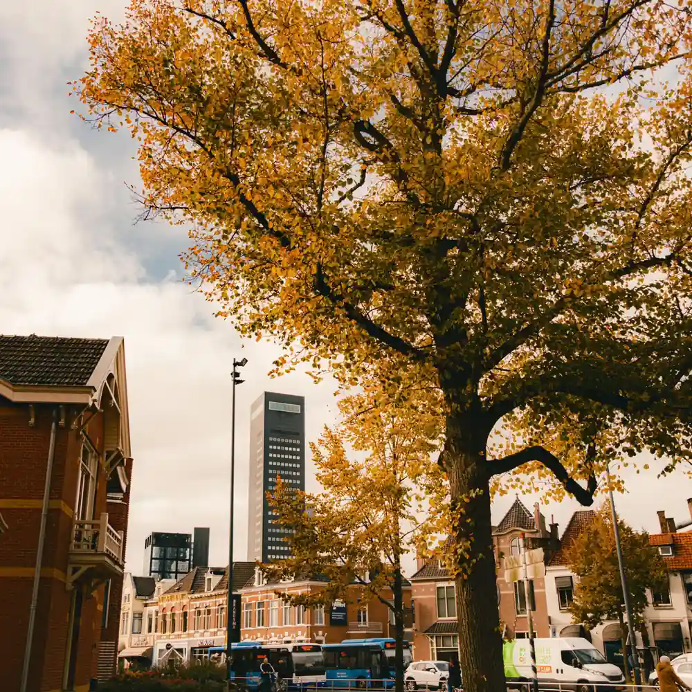 Herfst in de binnenstad van Leeuwarden, waar je de rijscholen in Leeuwarden kunt vergelijken