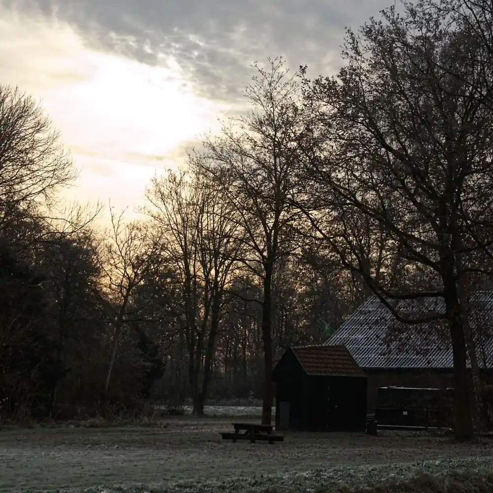 Een wintermorgen in het buitengebied van Lekkerkerk, waar je de rijscholen in Lekkerkerk kunt vergelijken