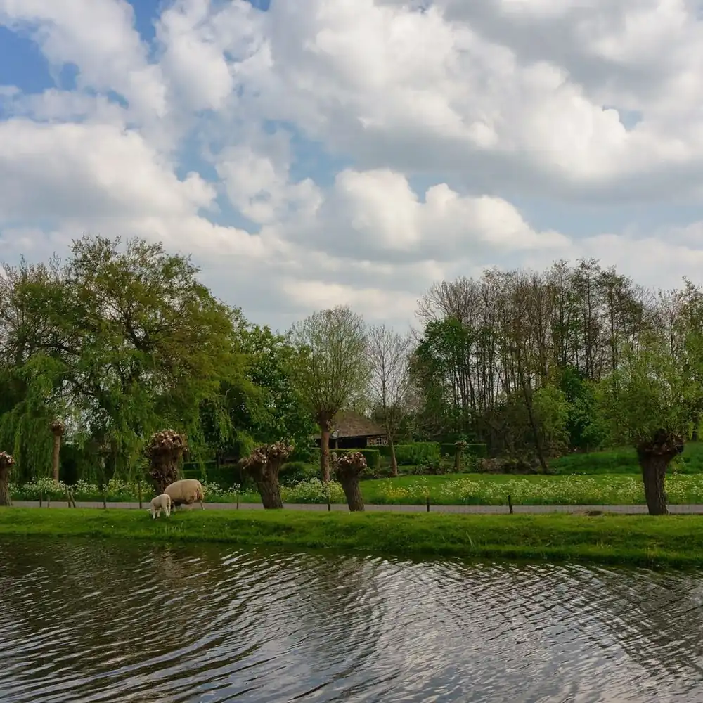 Het landschap bij Lopik, waar je de rijscholen in Lopik kunt vergelijken