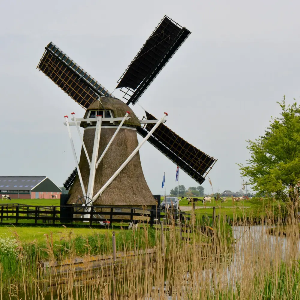 Molen De Ljip bij Menaam, vlak bij Dronryp: alle rijscholen in Dronryp op een rij