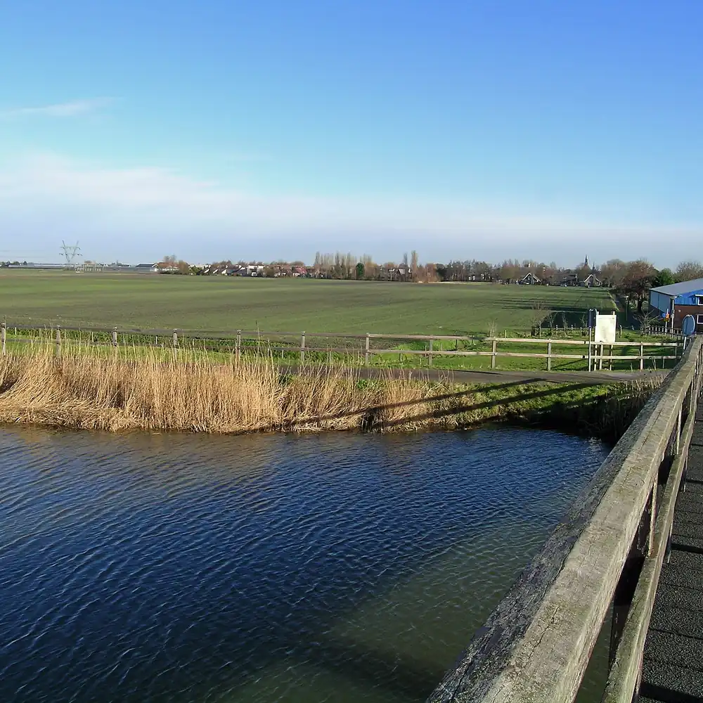 De Hollevoeterbrug bij Moerkapelle: vergelijk de rijscholen in Moerkapelle