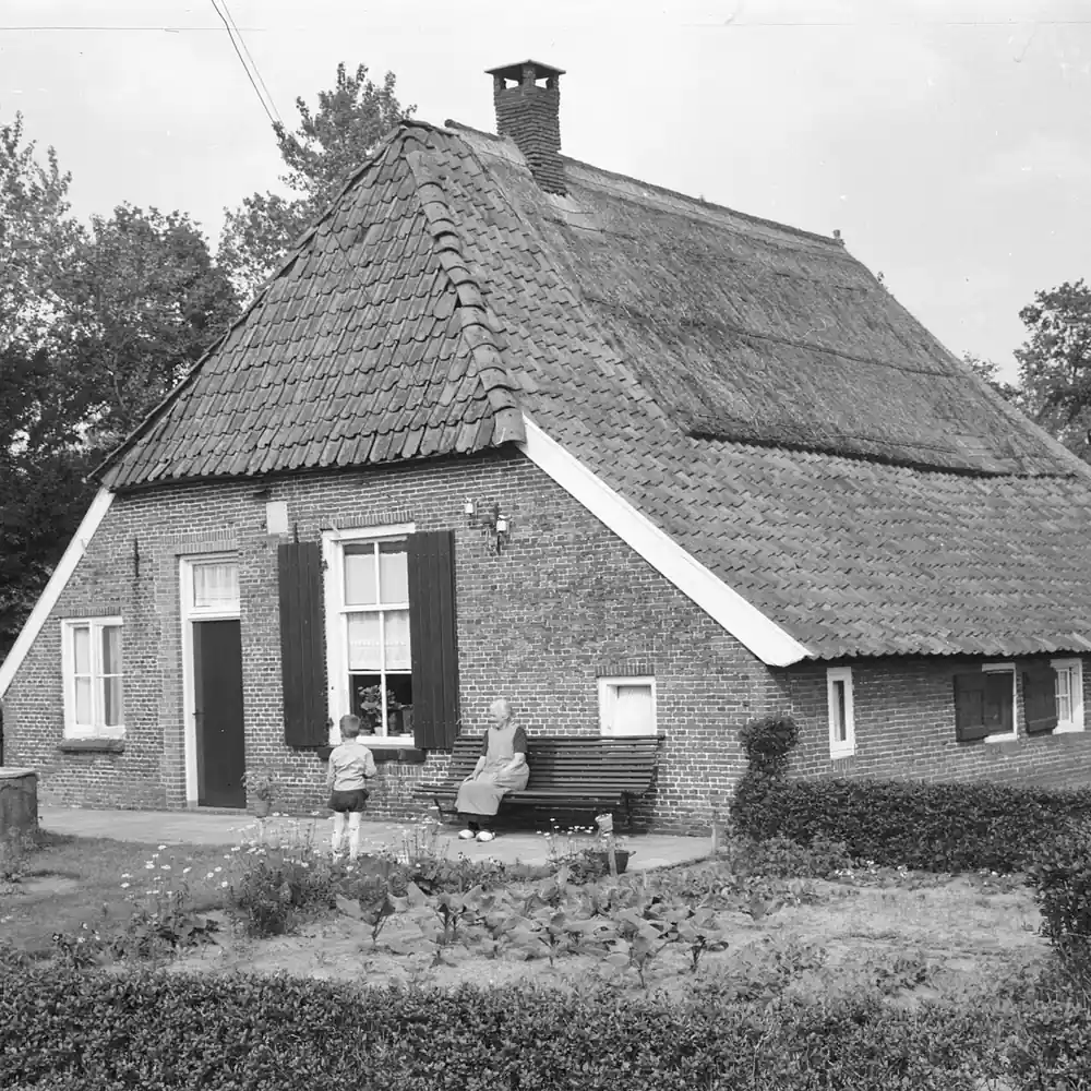 Een boerderij in Neede: alle rijscholen in Neede op een rij