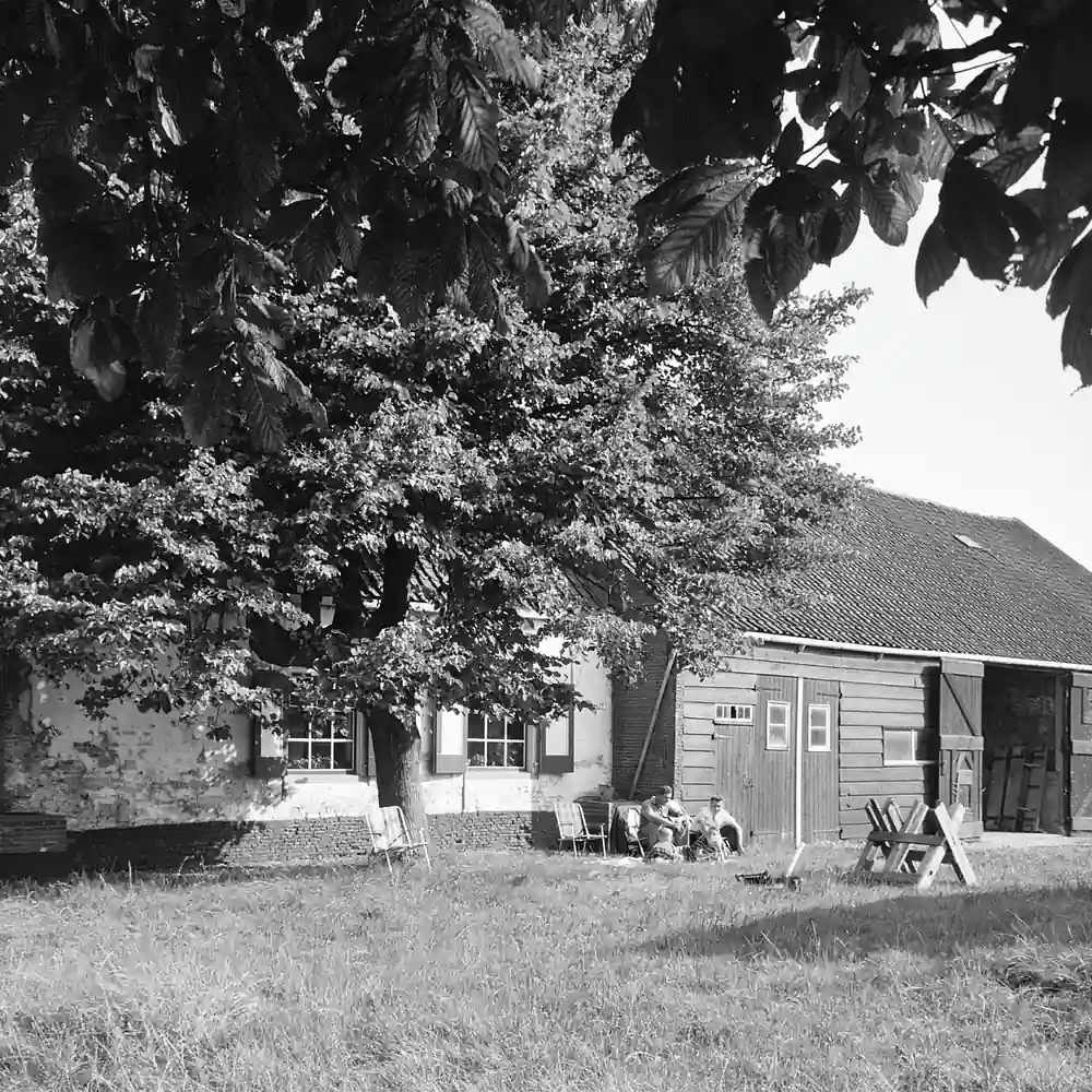 Een boerderij in 's-Heer Arendskerke: alle rijscholen in 's-Heer Arendskerke op een rij