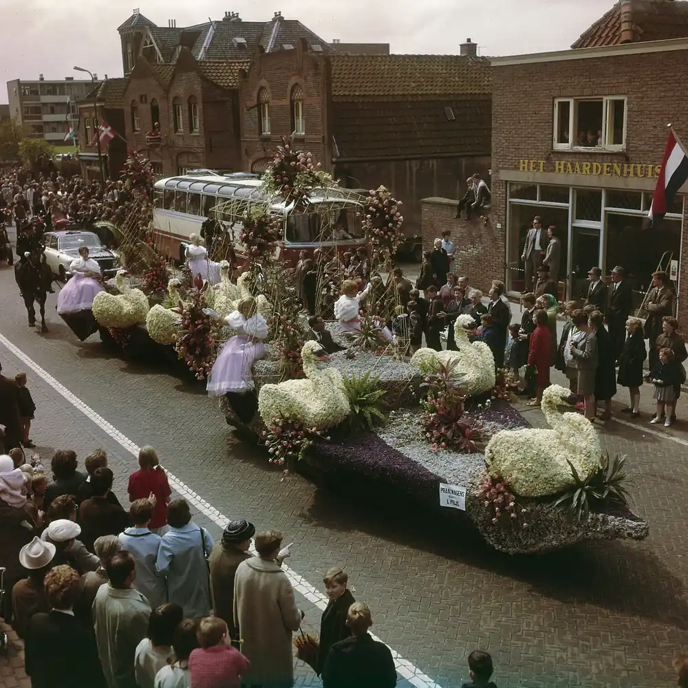 Het bloemencorso in Sassenheim: alle rijscholen in Sassenheim op een rij