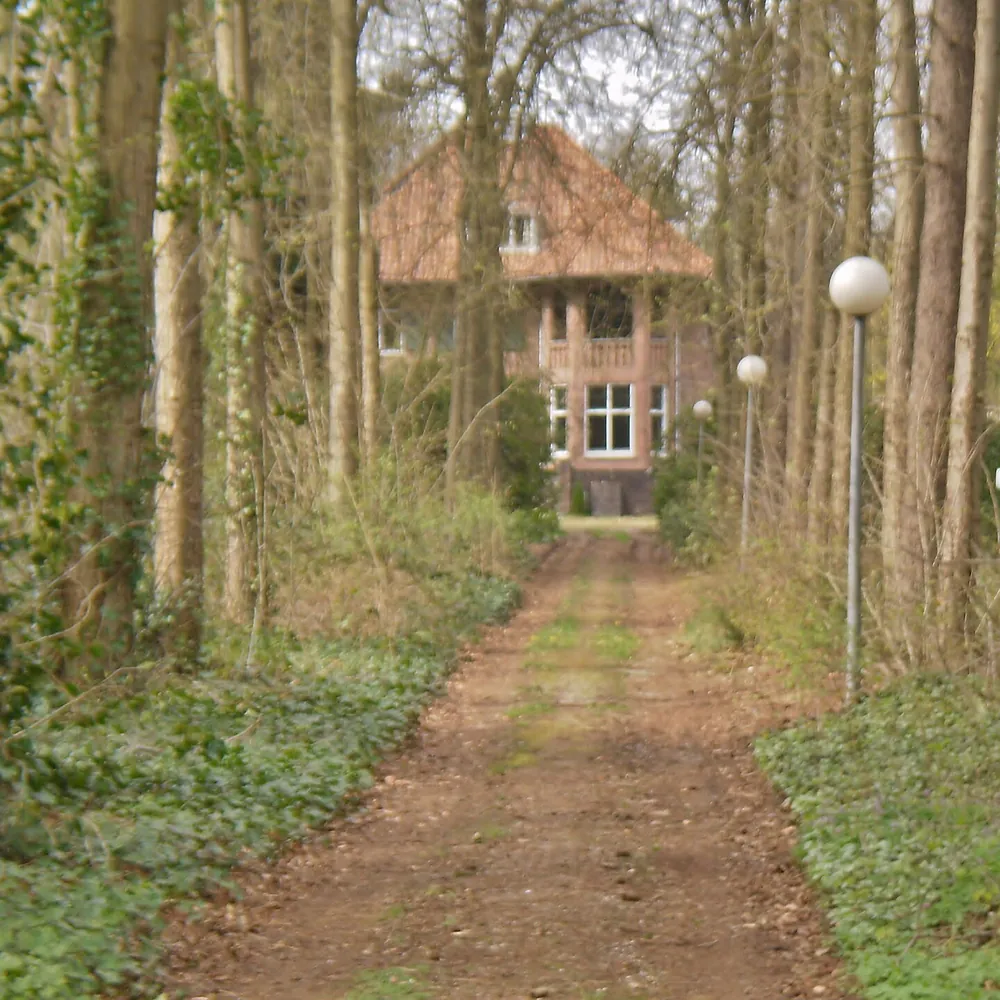 Een laan door het bos naar een villa in Soesterberg: alle rijscholen in Soesterberg op een rij