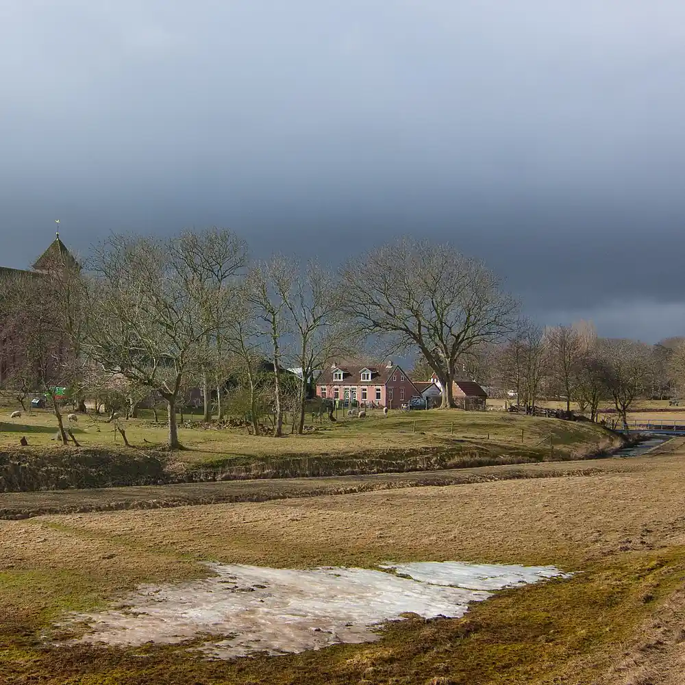 Weiland met kale bomen en huizen bij Termunten: alle rijscholen in Termunten op een rij