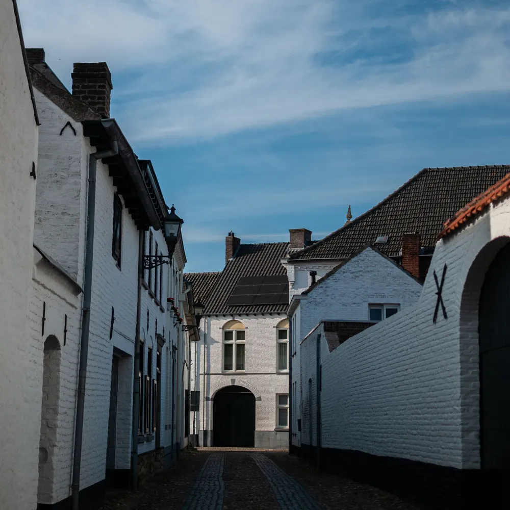 Een straatje met witte huizen in Thorn: alle rijscholen in Thorn op een rij
