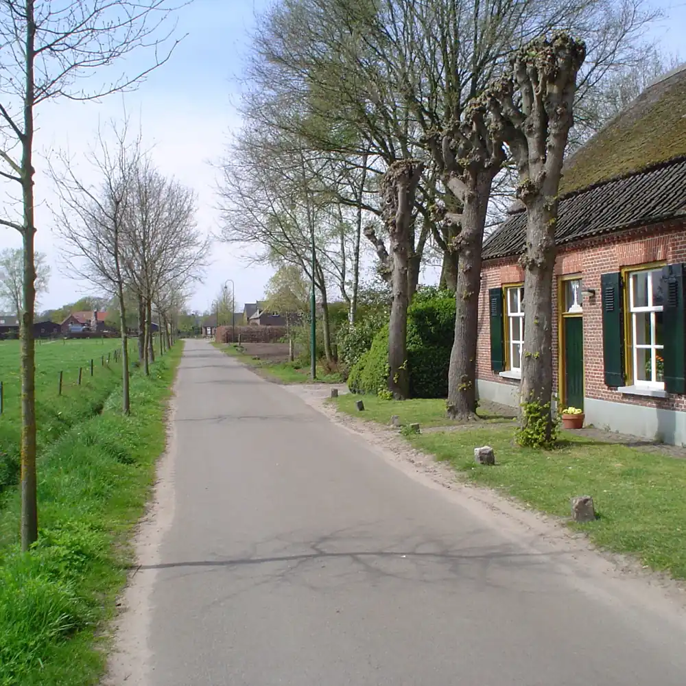 Het Timmereind in Waalre: vergelijk de rijscholen in Waalre