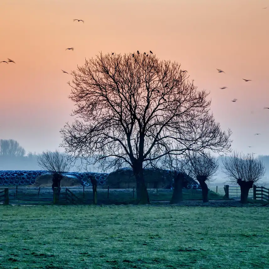 Zonsopkomst boven de weilanden bij Wognum: rijscholen in Wognum vergelijken