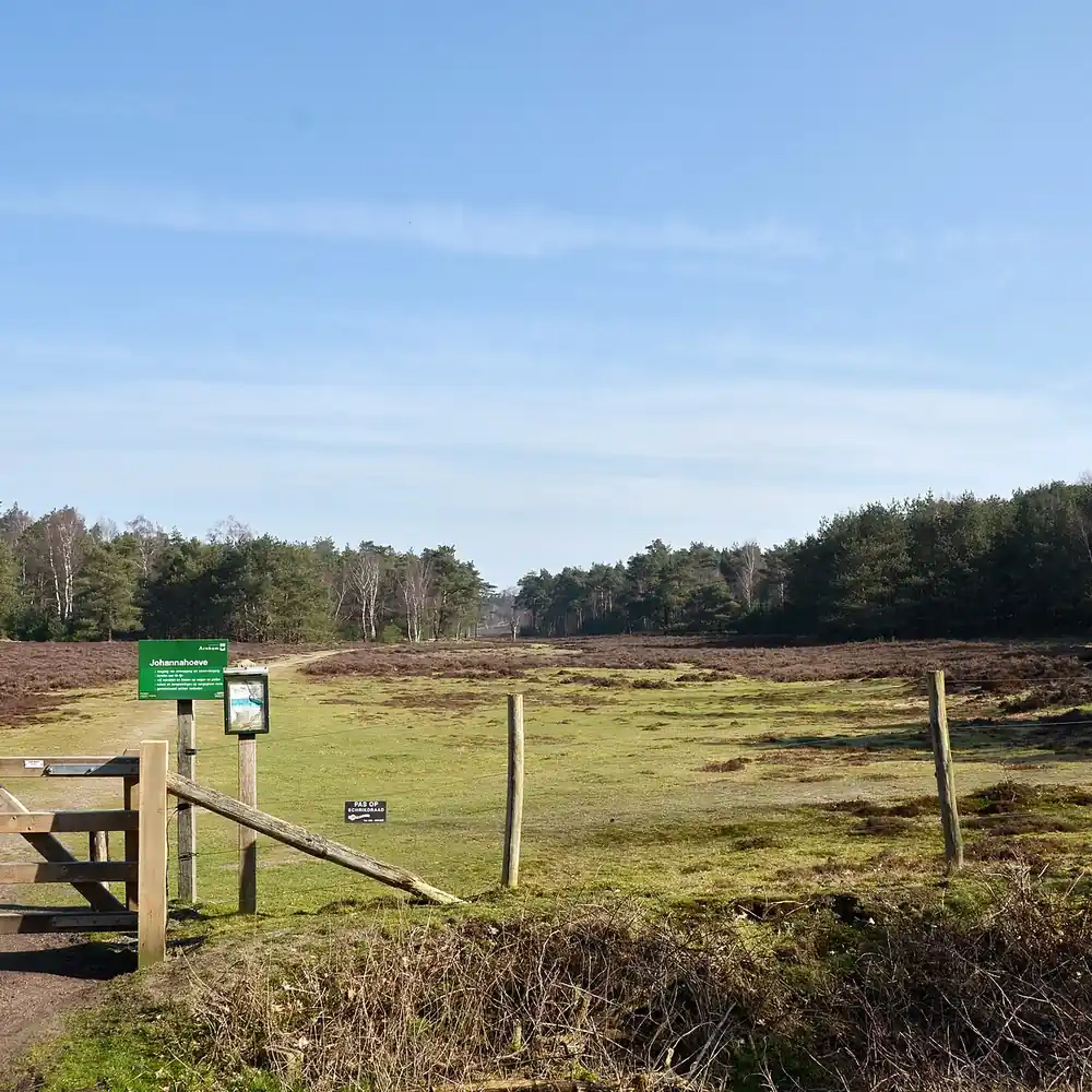 De heide bij Wolfheze: rijscholen in Wolfheze vergelijken