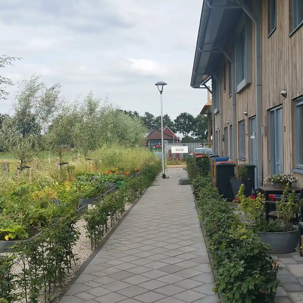 Een pad langs de woningen in Woudenberg, waar je de rijscholen in Woudenberg kunt vergelijken