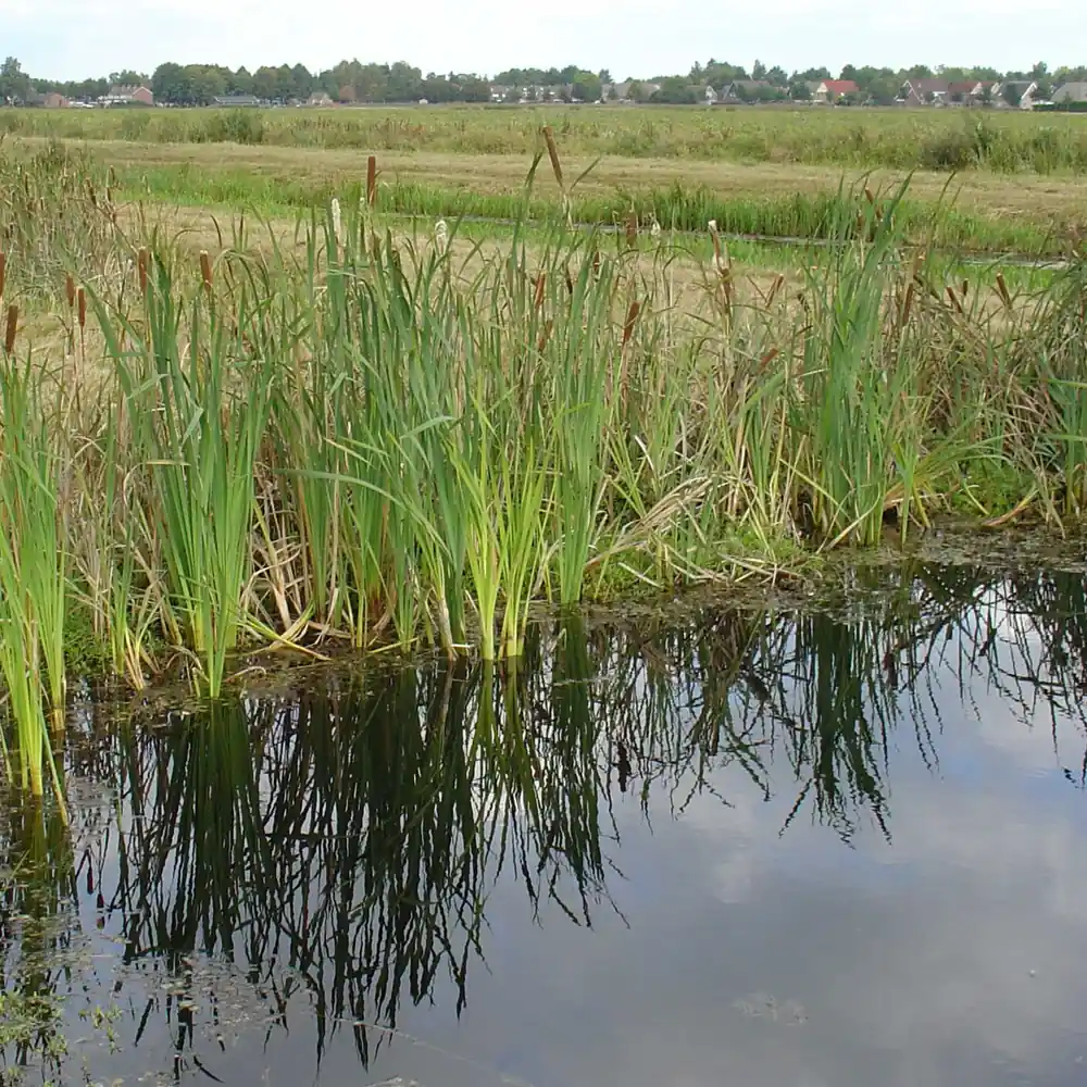 De Runde bij Zwartemeer: alle rijscholen in Zwartemeer op een rij